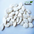 New Crop Snow White Pumpkin Seeds, Массовые семена чиа